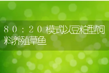 80:20模式以豆粕型饲料养殖草鱼