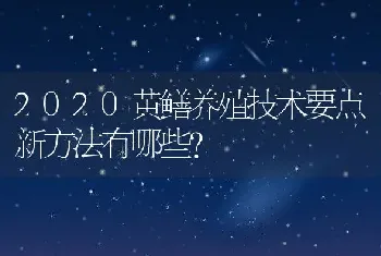 2020黄鳝养殖技术要点新方法有哪些?