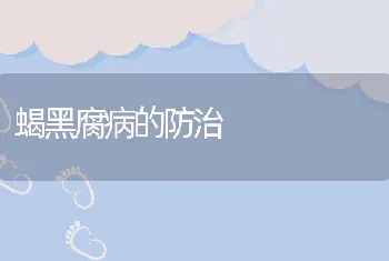 蝎黑腐病的防治