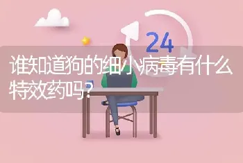 谁知道狗的细小病毒有什么特效药吗？