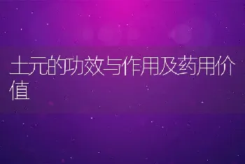 土元的功效与作用及药用价值