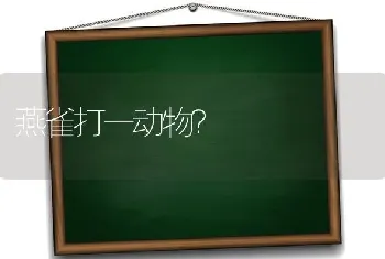 燕雀打一动物？