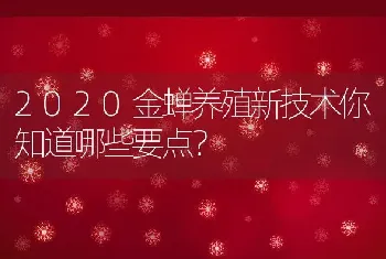 2020金蝉养殖新技术你知道哪些要点？