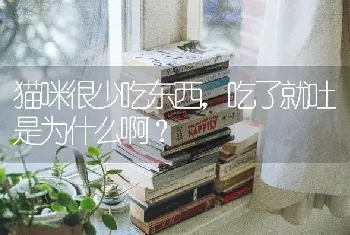 猫咪很少吃东西，吃了就吐是为什么啊？