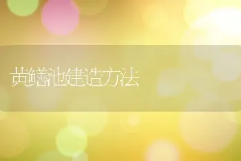 黄鳝池建造方法