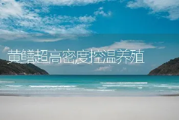 黄鳝超高密度控温养殖