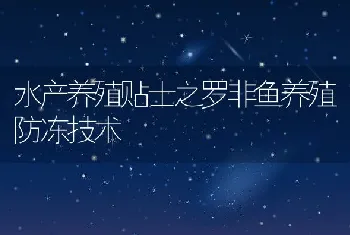 水产养殖贴士之罗非鱼养殖防冻技术