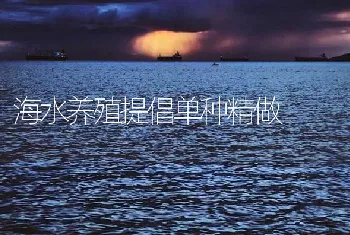 海水养殖提倡单种精做