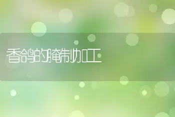 香鸽的腌制加工