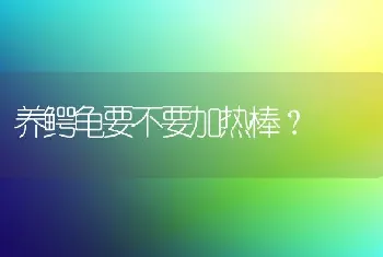 养鳄龟要不要加热棒？