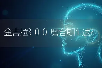 金吉拉300磨合期车速？