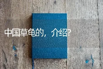 中国草龟的，介绍？