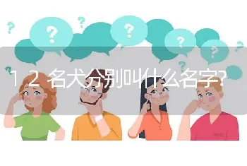 12名犬分别叫什么名字？