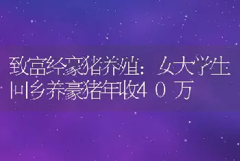 致富经豪猪养殖：女大学生回乡养豪猪年收40万