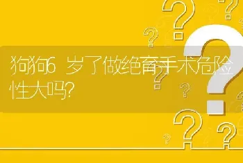 狗狗6岁了做绝育手术危险性大吗？