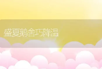 盛夏鹅舍巧降温