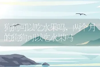 狗狗可以吃水果吗，两个月的狗狗可以吃水果吗