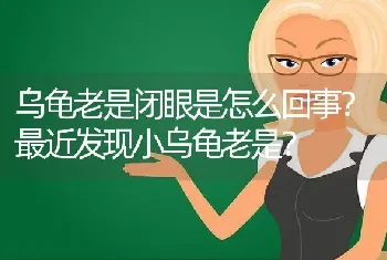 乌龟老是闭眼是怎么回事？最近发现小乌龟老是？