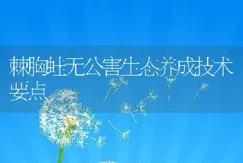 棘胸蛙无公害生态养成技术要点