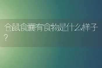 仓鼠食囊有食物是什么样子？