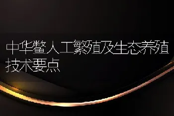 中华鳖人工繁殖及生态养殖技术要点