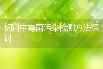 饲料中霉菌污染检测方法探讨