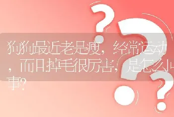 狗狗最近老是瘦，经常运动，而且掉毛很厉害，是怎么回事？