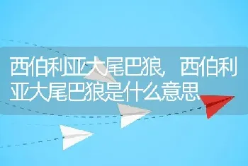 西伯利亚大尾巴狼，西伯利亚大尾巴狼是什么意思