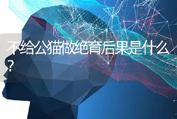 不给公猫做绝育后果是什么？