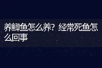 养鲫鱼怎么养？经常死鱼怎么回事