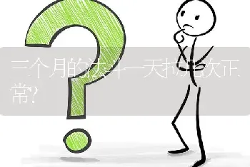 三个月的法斗一天拉几次正常？