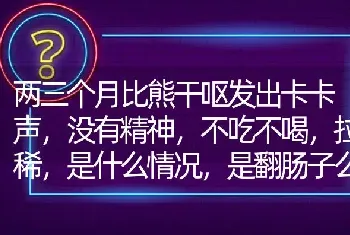 两三个月比熊干呕发出卡卡声，没有精神，不吃不喝，拉稀，是什么情况，是翻肠子么？