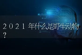 2021年什么是野生动物？