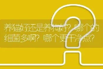 养猫好还是养狗好？哪个的细菌多啊？哪个更干净点？