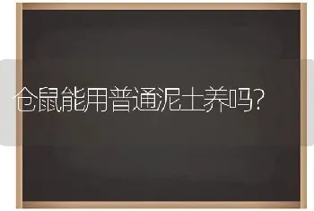 仓鼠能用普通泥土养吗？