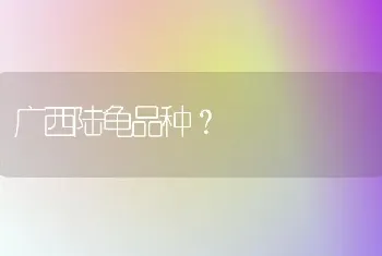 广西陆龟品种？