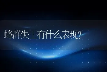 蜂群失王有什么表现？