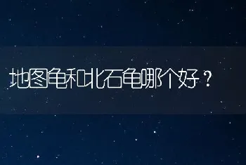 地图龟和北石龟哪个好？