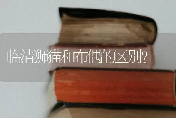 狗修耳有什么作用？