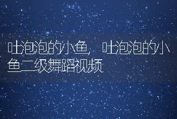 吐泡泡的小鱼，吐泡泡的小鱼二级舞蹈视频