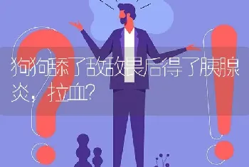 狗狗舔了敌敌畏后得了胰腺炎，拉血？