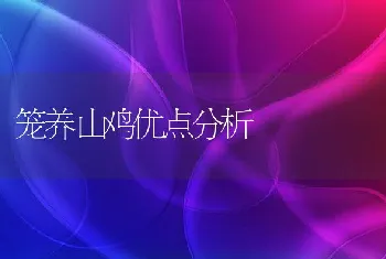 冬季培育肉鹅技术要点