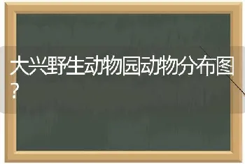 大兴野生动物园动物分布图？