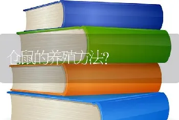 仓鼠的养殖方法？