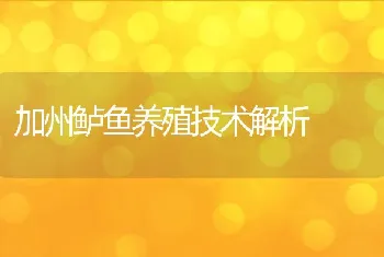 加州鲈鱼养殖技术解析