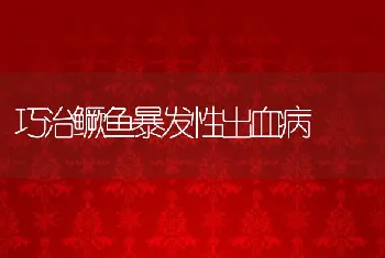 巧治鳜鱼暴发性出血病