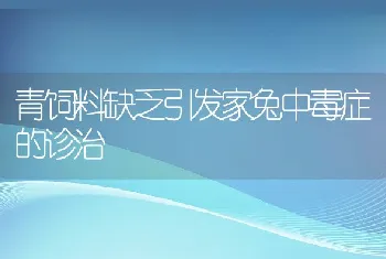 青饲料缺乏引发家兔中毒症的诊治