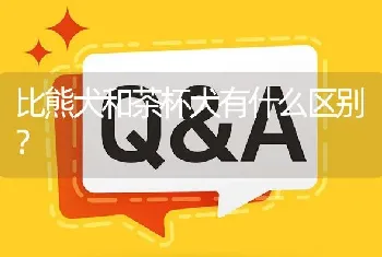 四个月大的博美犬关在笼子里会养成什么性格？